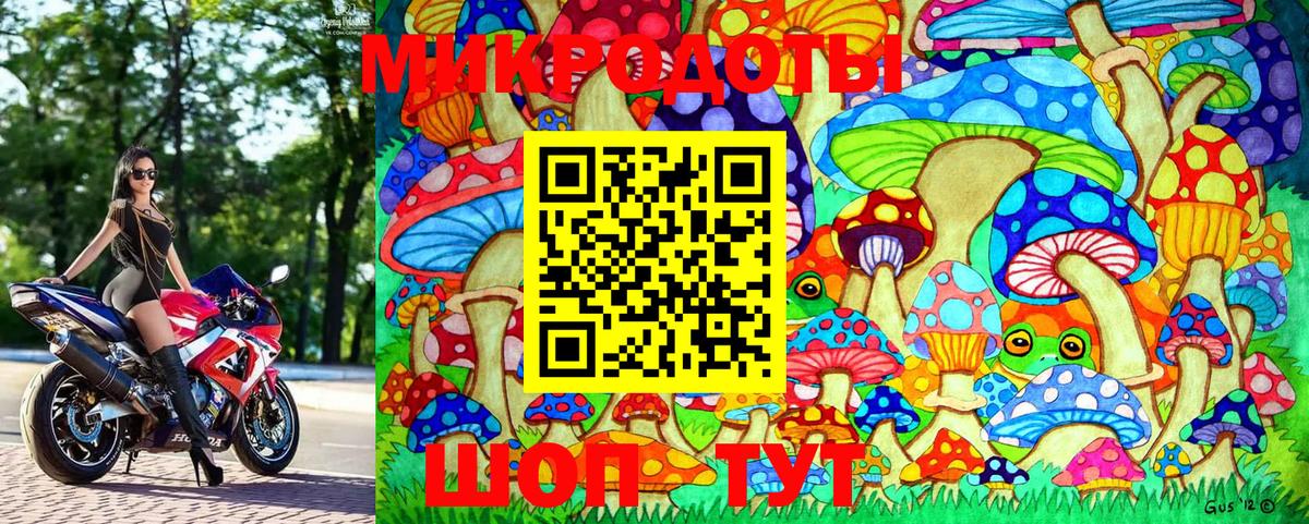 Галлюциногенные грибы Magic Shrooms Обь
