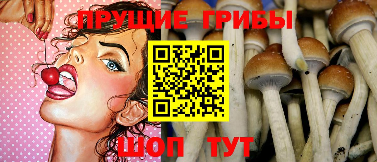 Галлюциногенные грибы Cubensis  Вход с VPN  Обь 